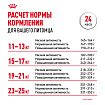 Сухой корм Royal Canin Medium Dermacomfort для взрослых средних пород 3 кг